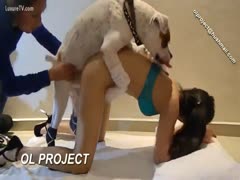 [ Beastiality Homemade Porn Teen ] Huge dog copulates bound up breasty teen - pervertslut